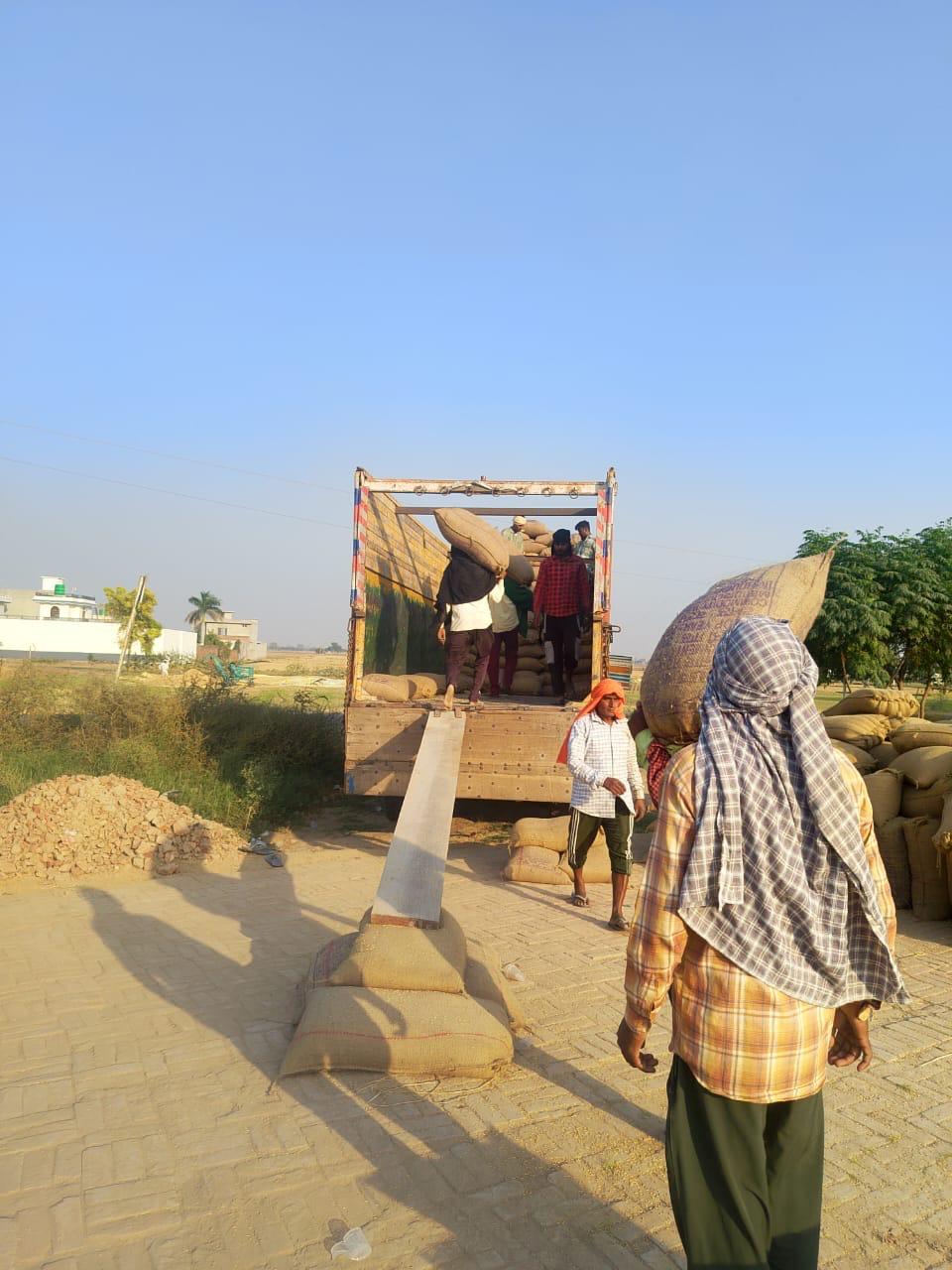 Patiala district is the leader in the whole of Punjab in the lifting of purchased paddy from markets